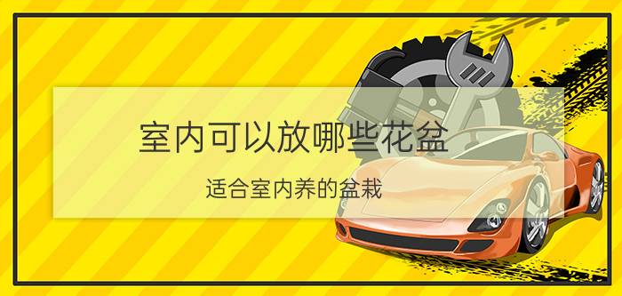 室内可以放哪些花盆 适合室内养的盆栽？